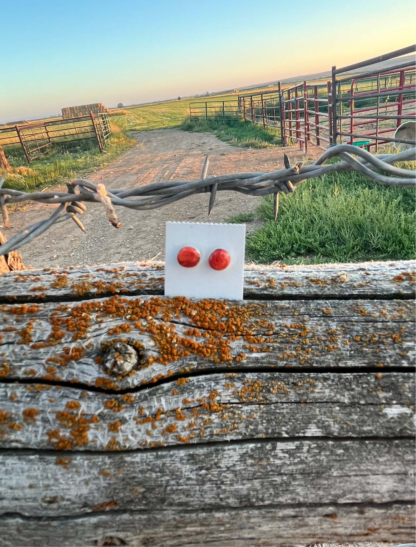 Orange Spiny Stud Earrings