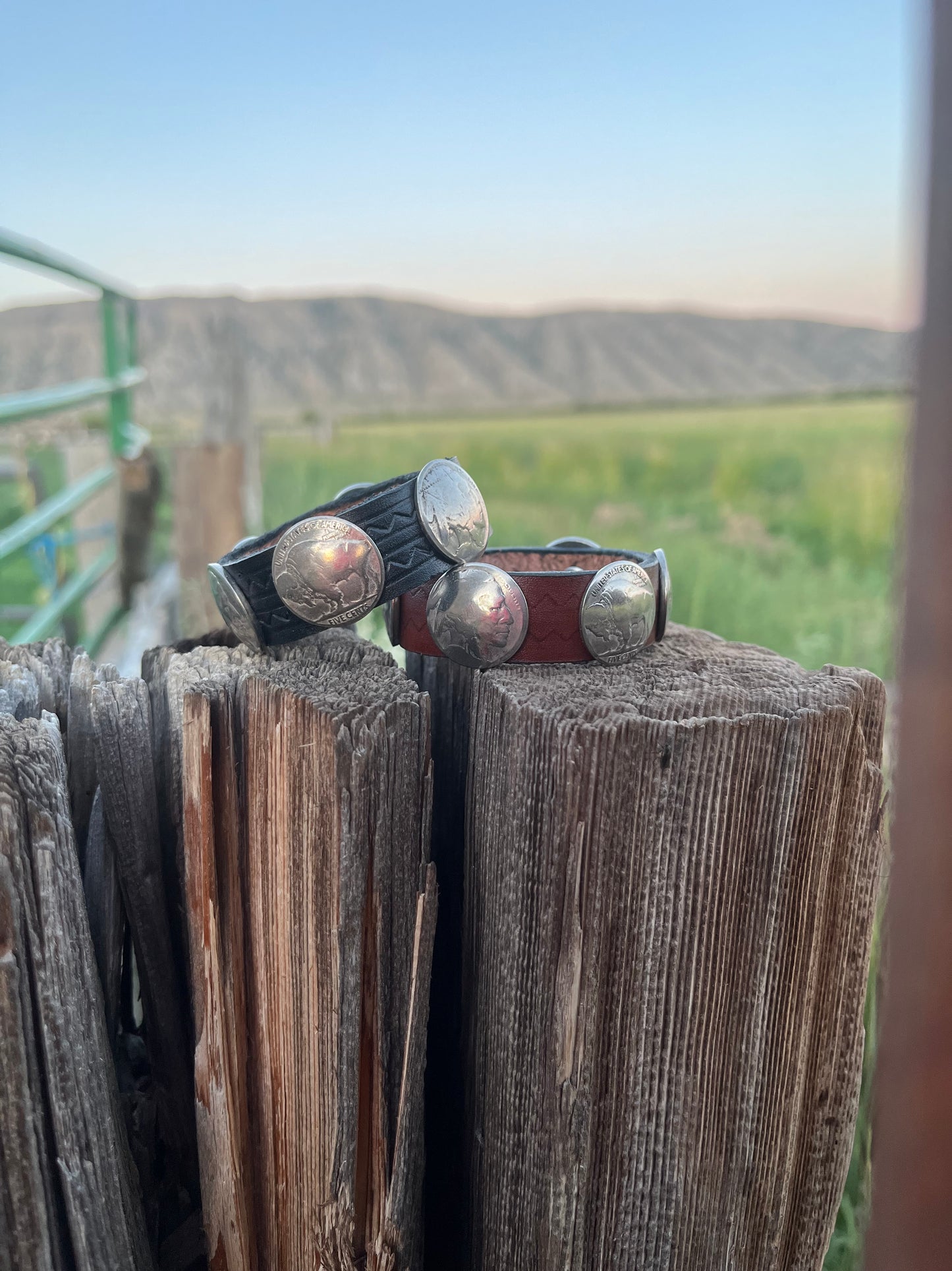 Indian/Buffalo Nickel Leather Cuff