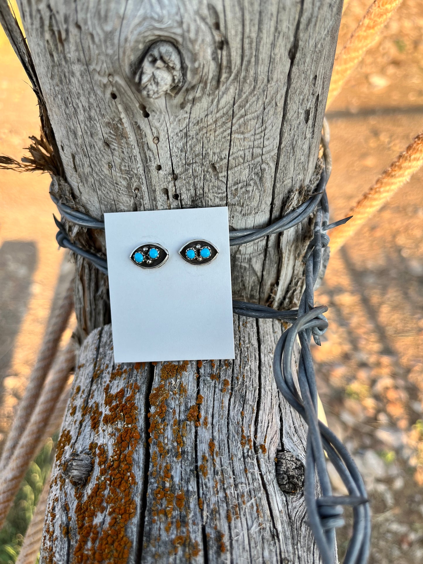 2 Peas in a Pod Turquoise Studs