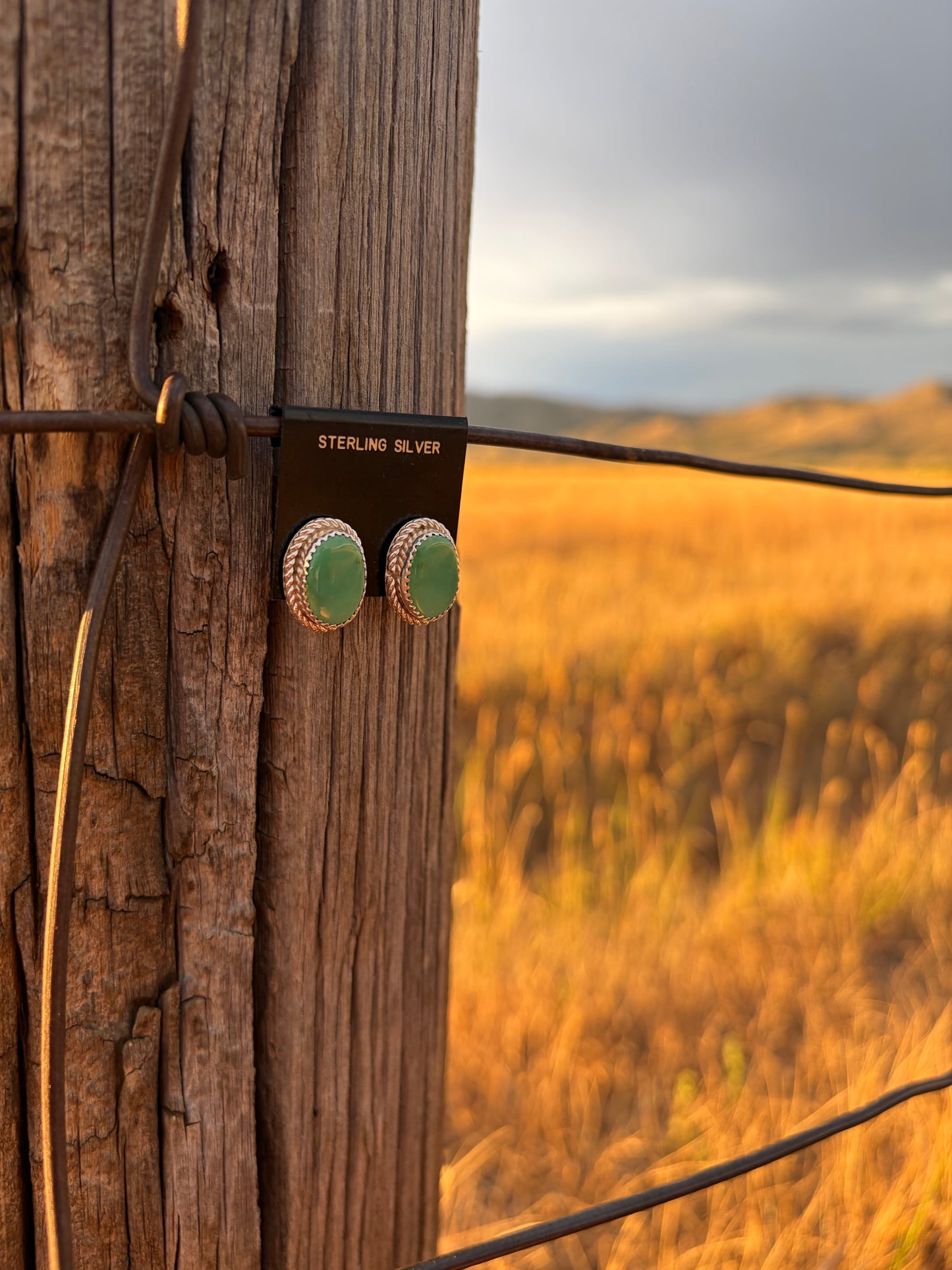 Light Green Turquoise Stud Earrings