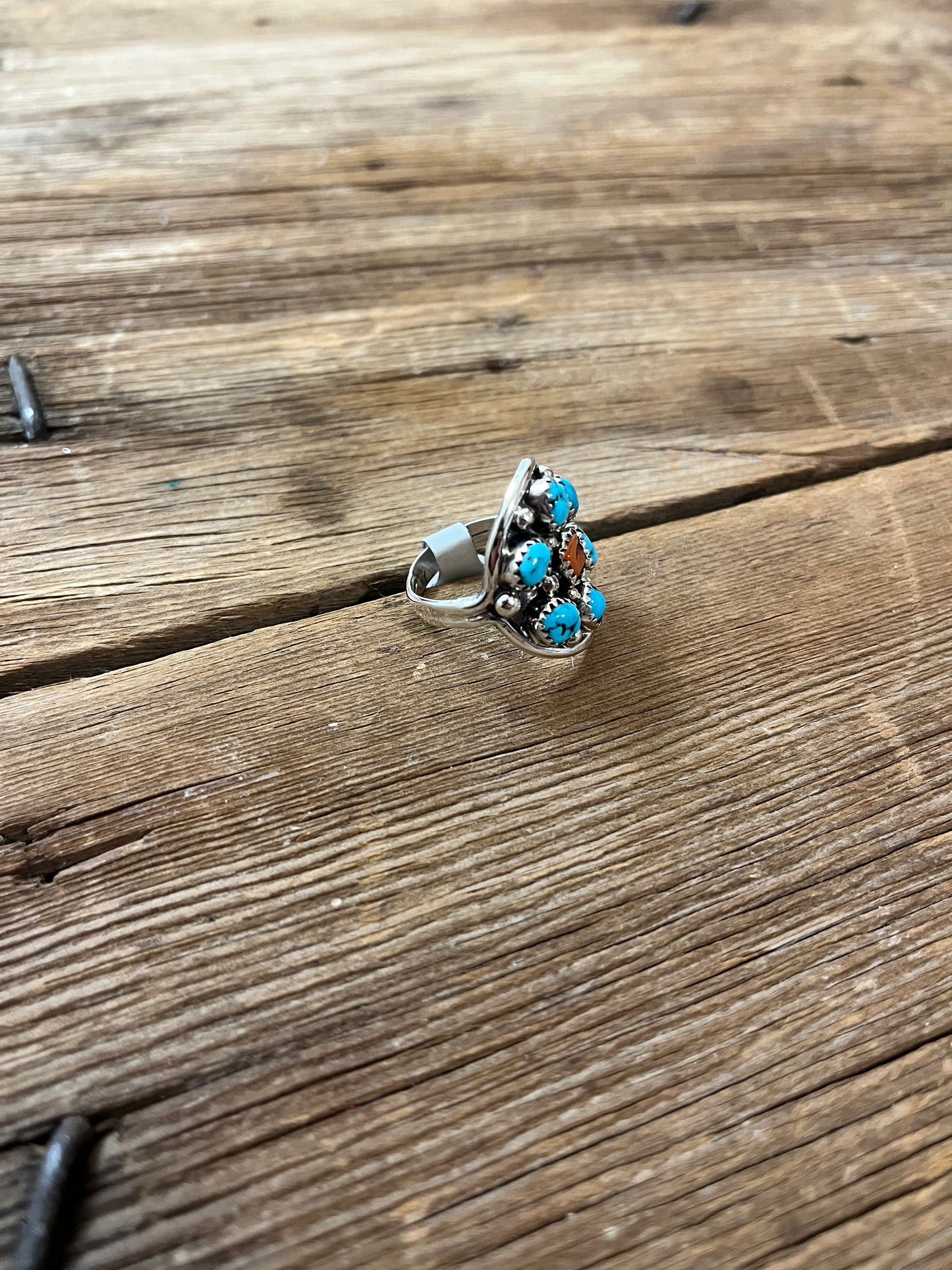 Kingman and Coral Cluster Ring