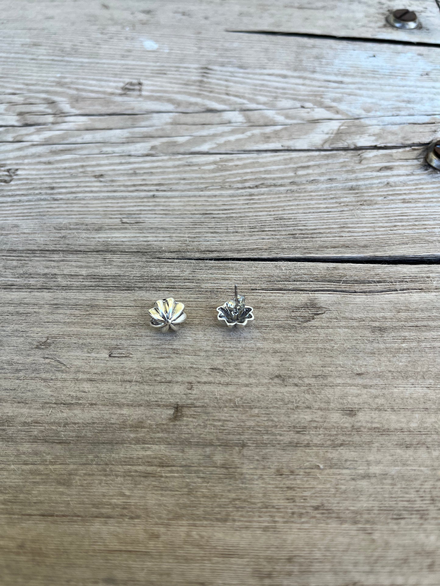 Daisy May Studs