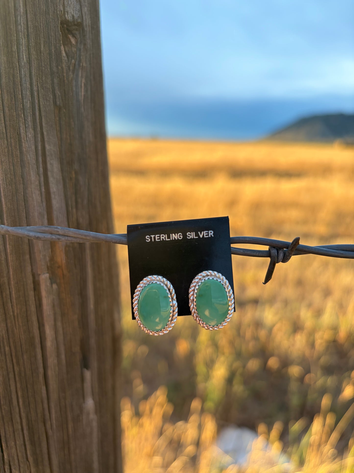 Light Green Turquoise Stud Earrings