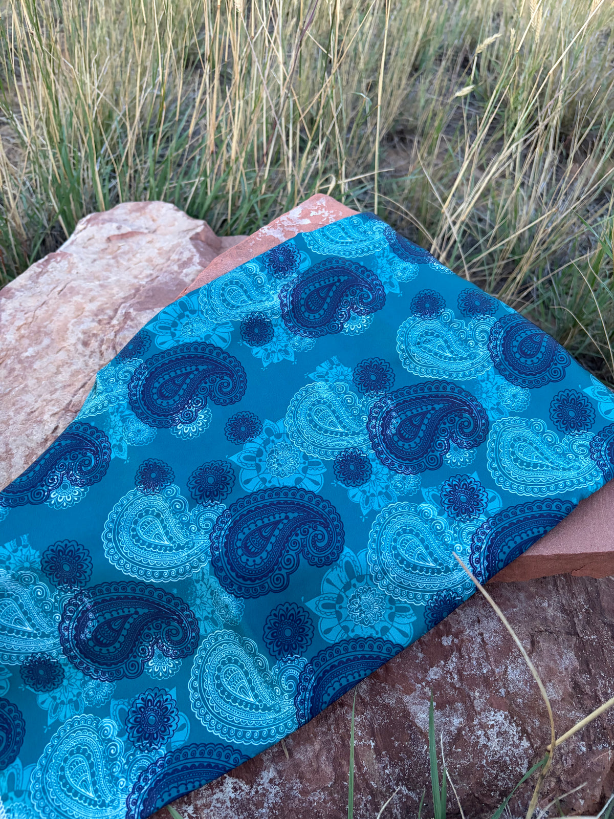 Shades of Blue Paisley Wild Rag