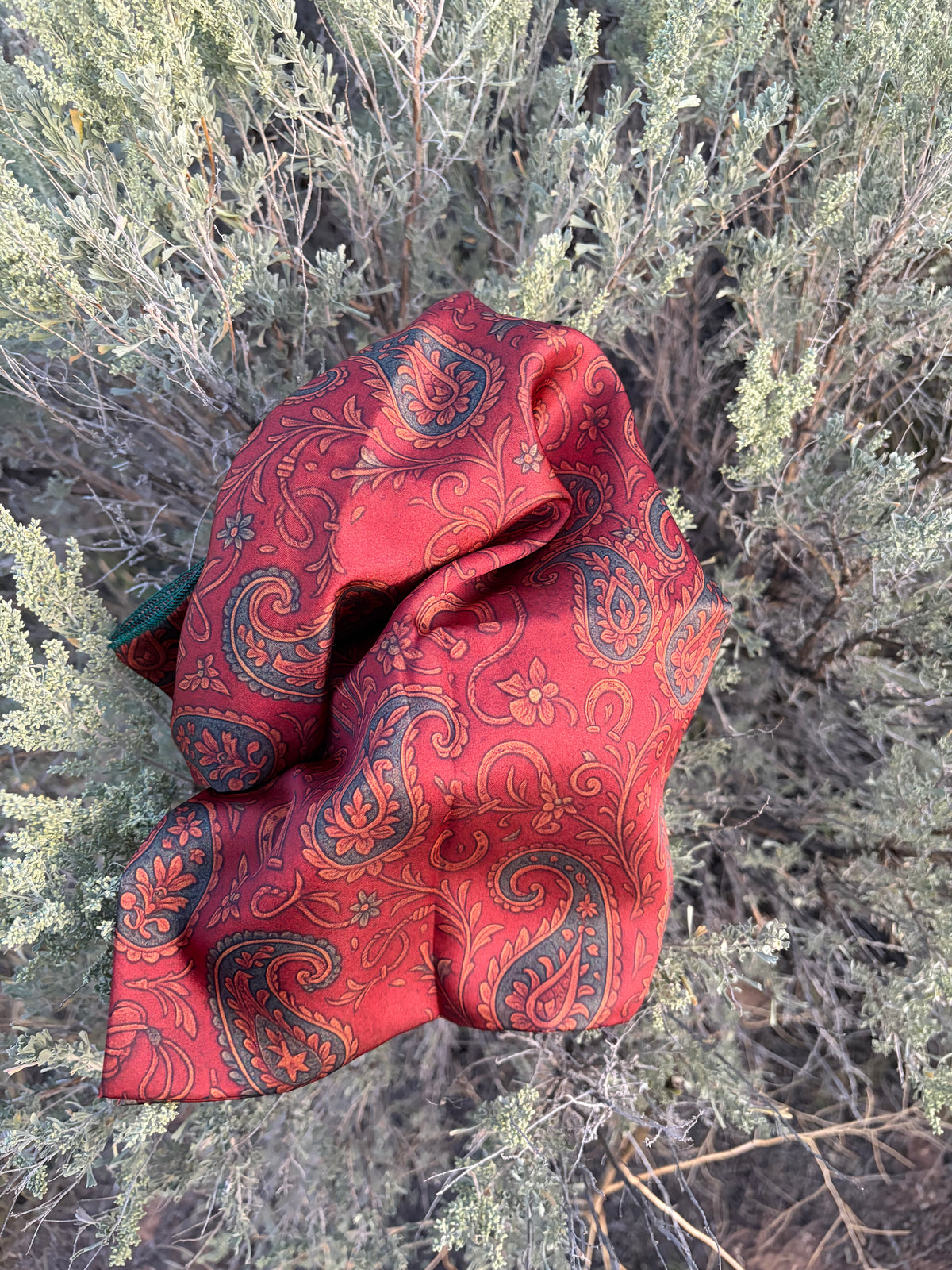 Rusty Rakehell Wild Rag