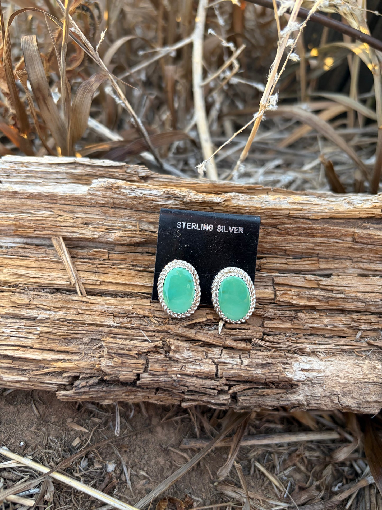 Light Green Turquoise Stud Earrings