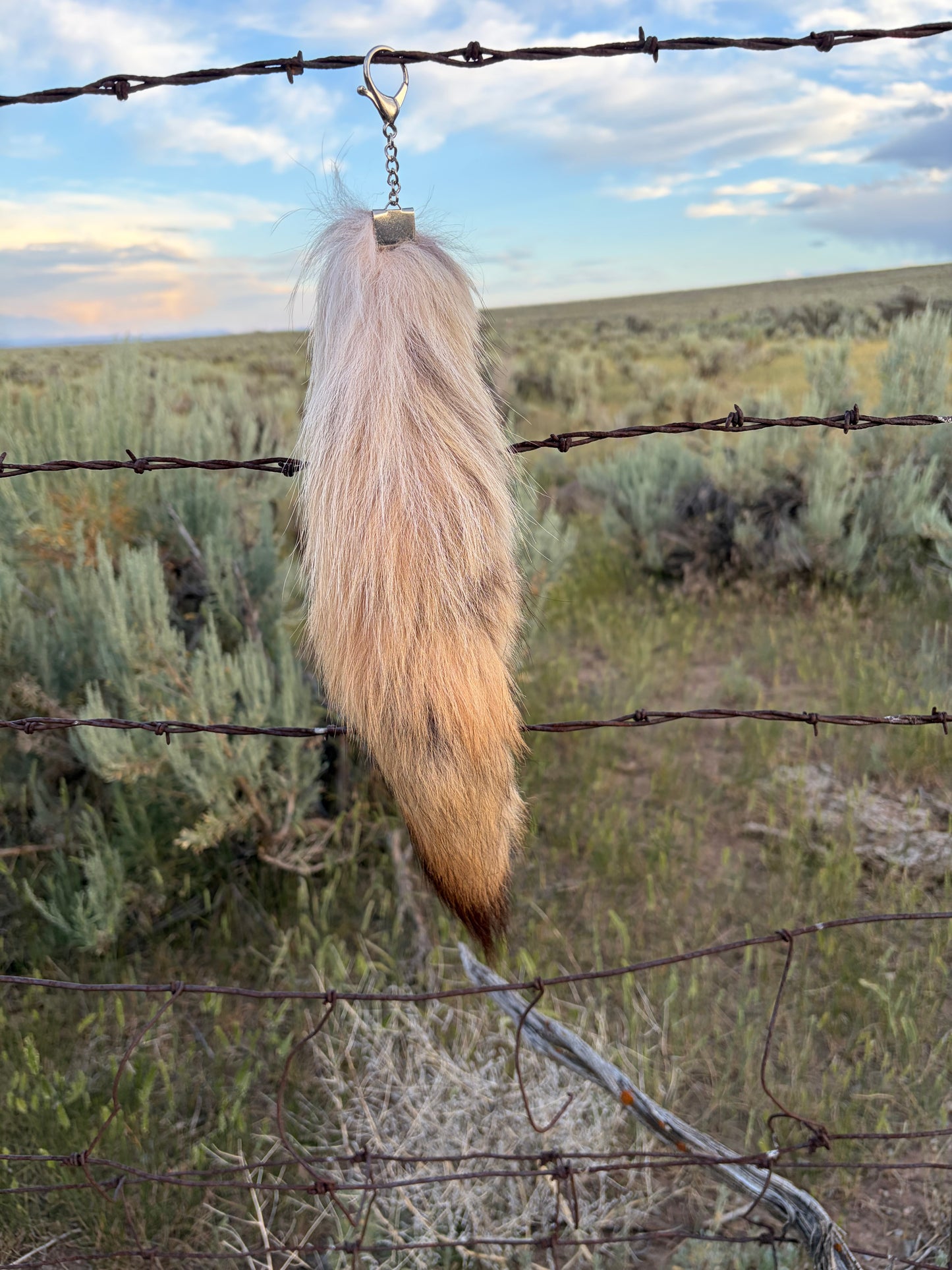Medium Tail - Lighter
