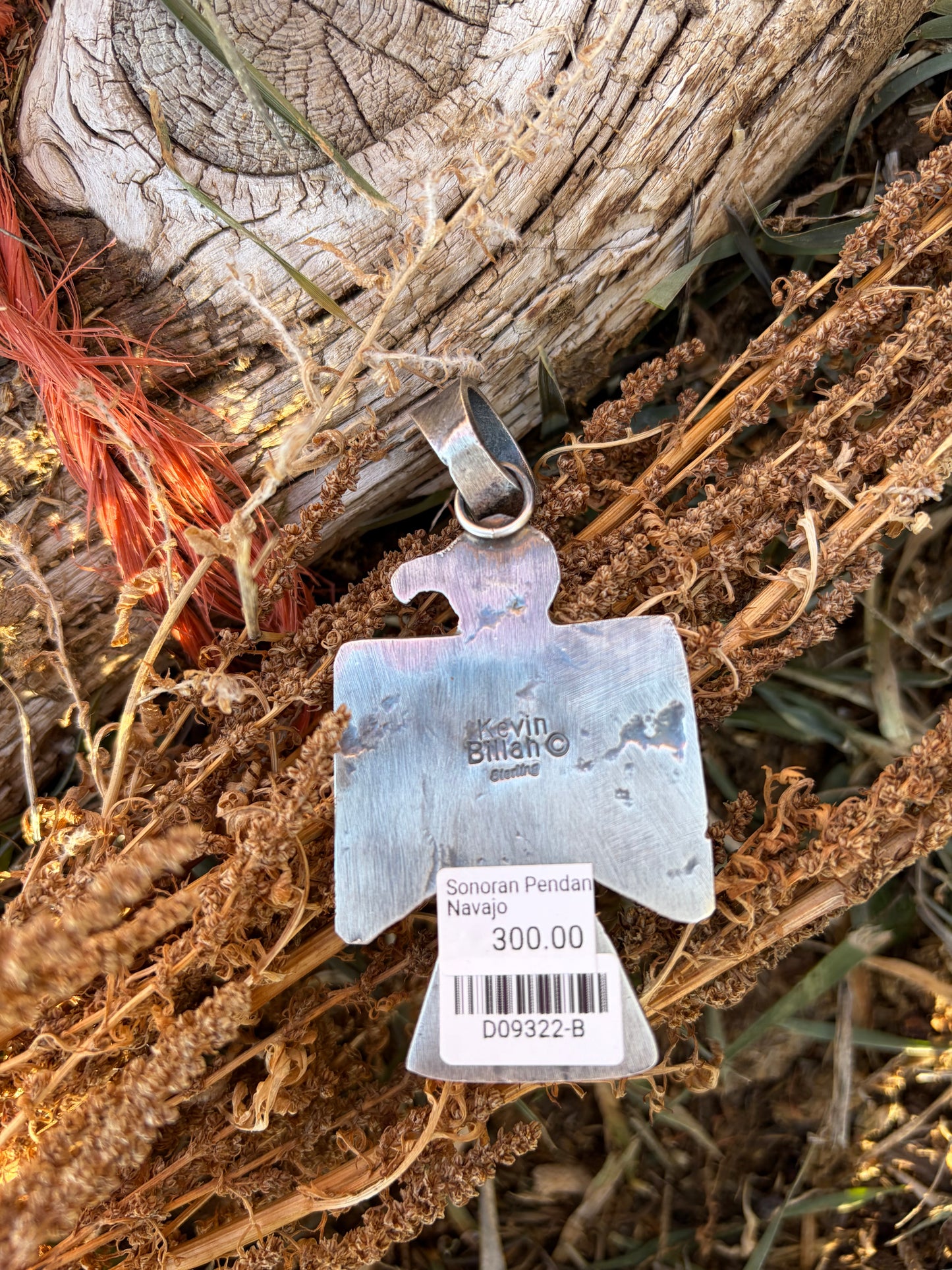 Sonoran Thunderbird Pendant