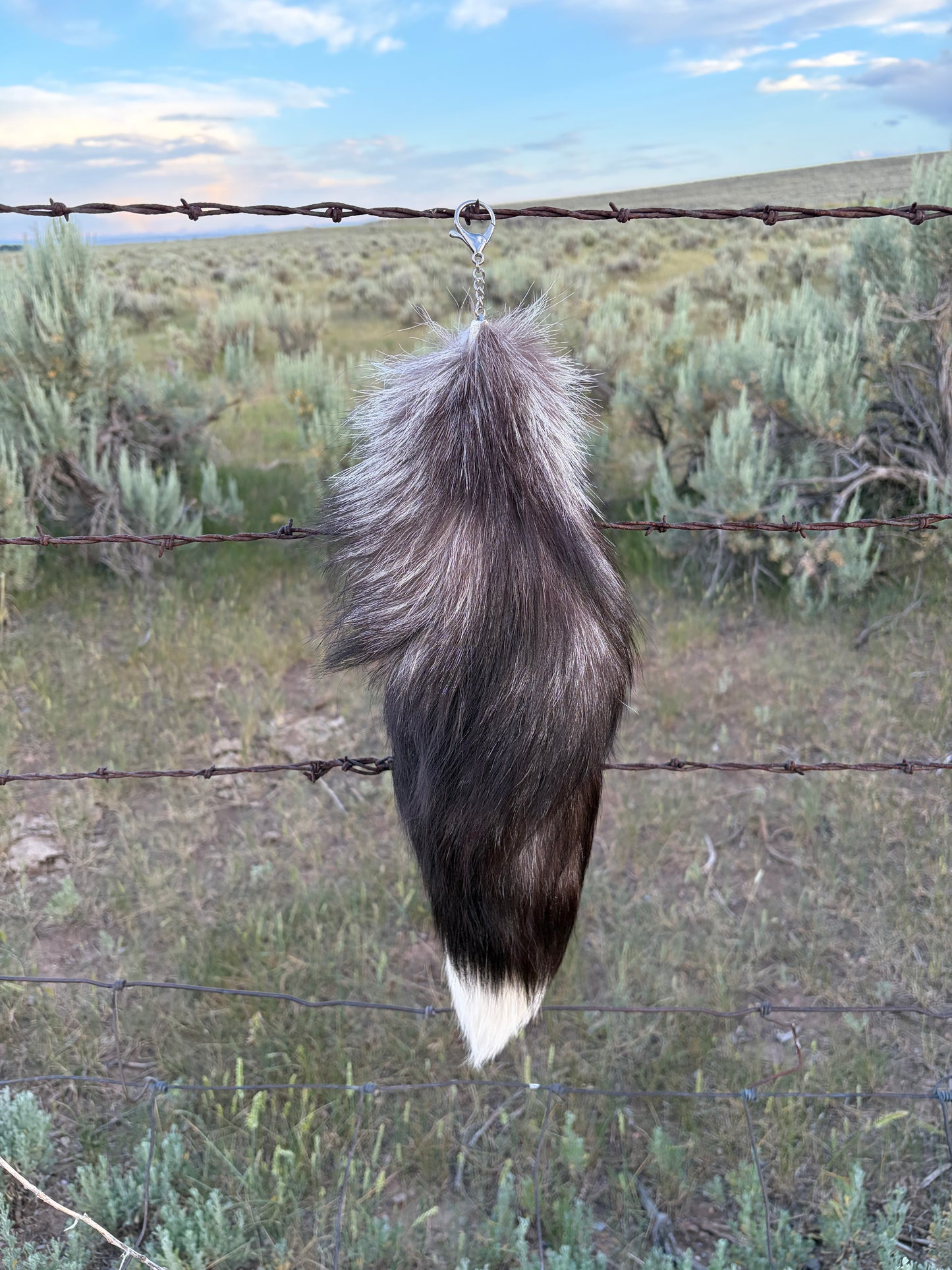 Large Tail