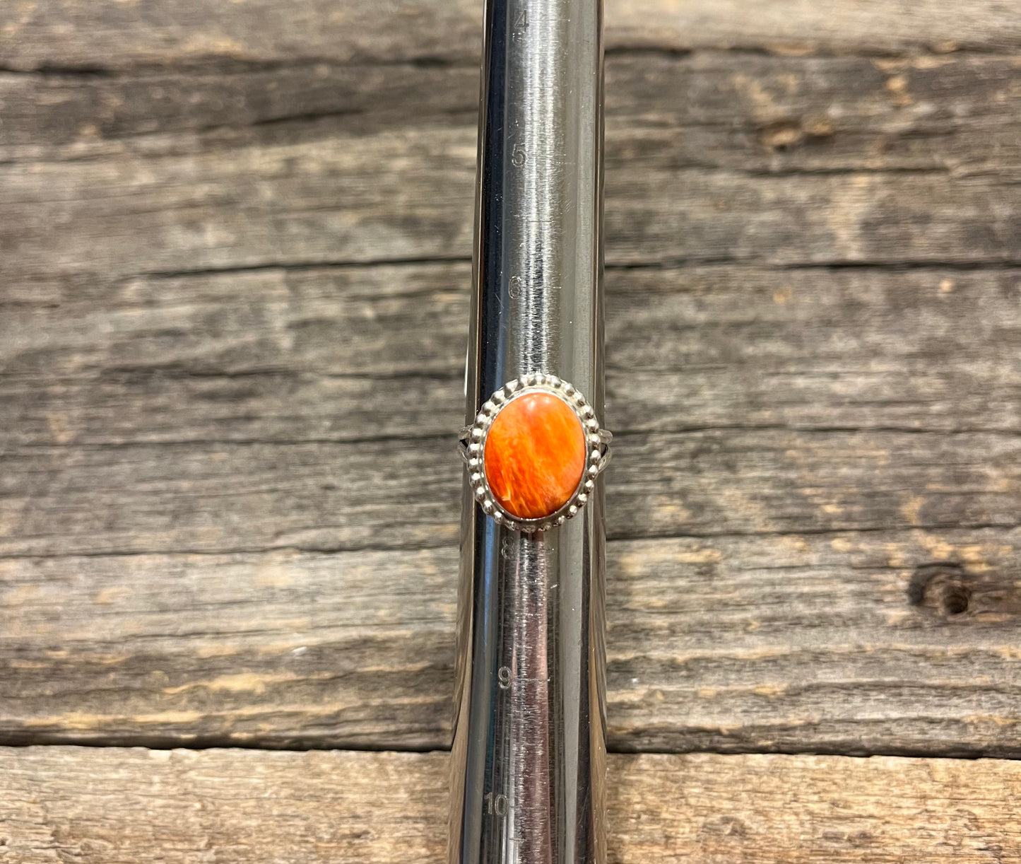 Chunk O Spiny Ring